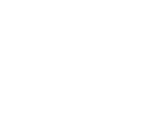 Tree Surgeon Atlanta LLC 400 white