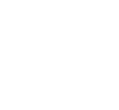 Tree Surgeon Atlanta LLC 400 white