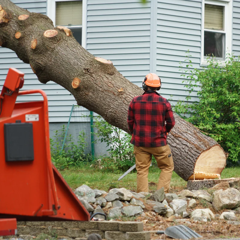 manual worker removing tree in residential area in buford ga