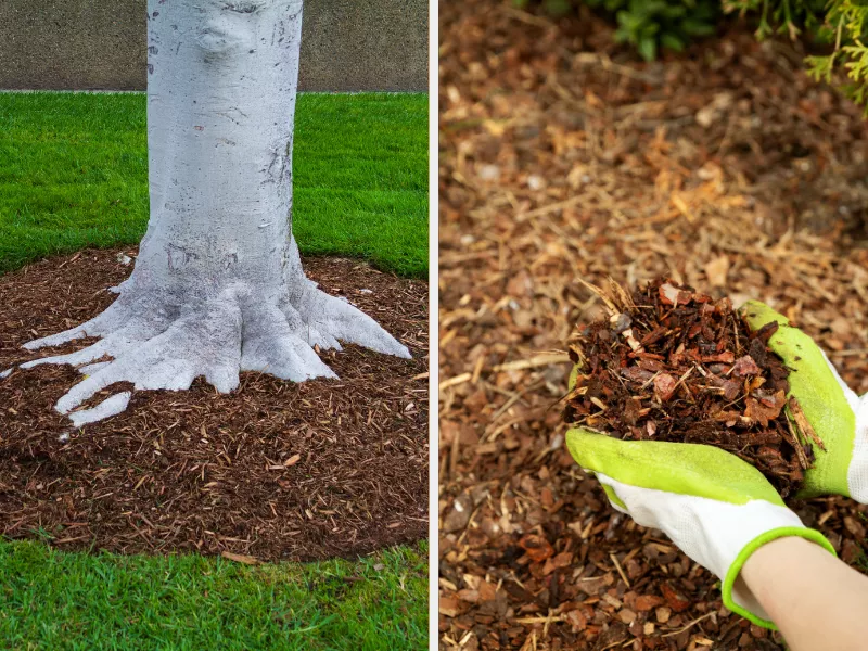 mulch and wood chips